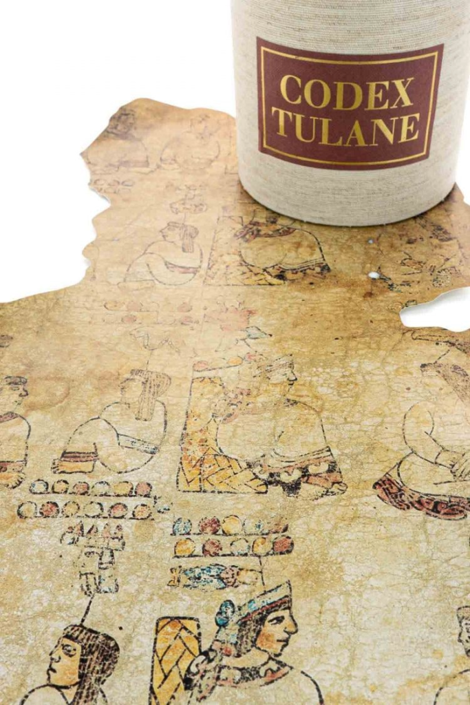 Codex Tulane