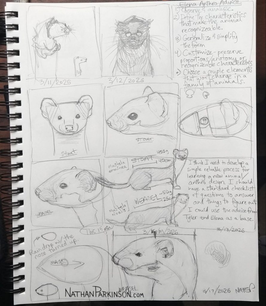 Weasel studies 0317 1 nathanparkinson.com